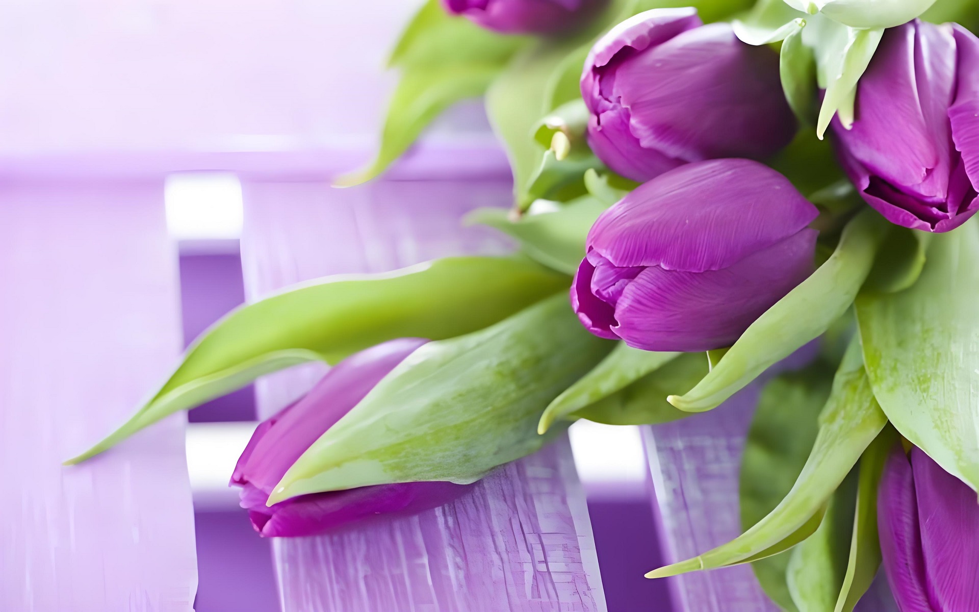 Ảnh nền máy tính hoa tulip màu tím đẹp nhất