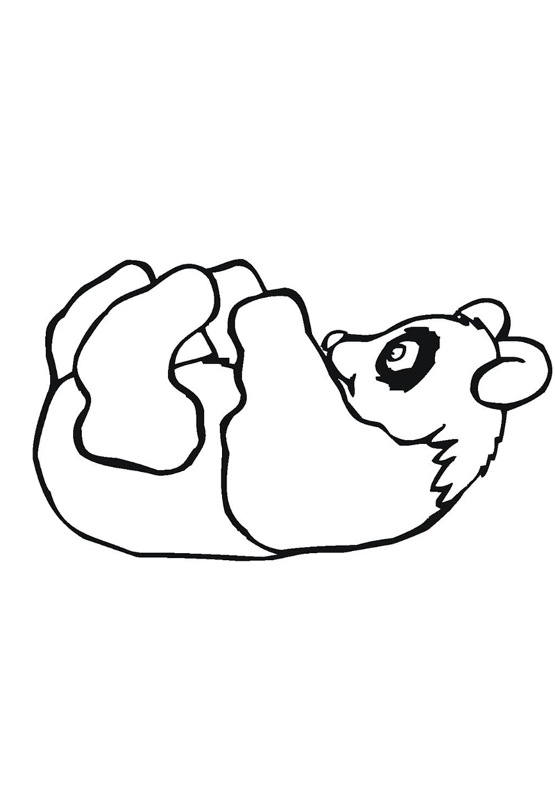 Gấu trúc dễ thương cho bé tô