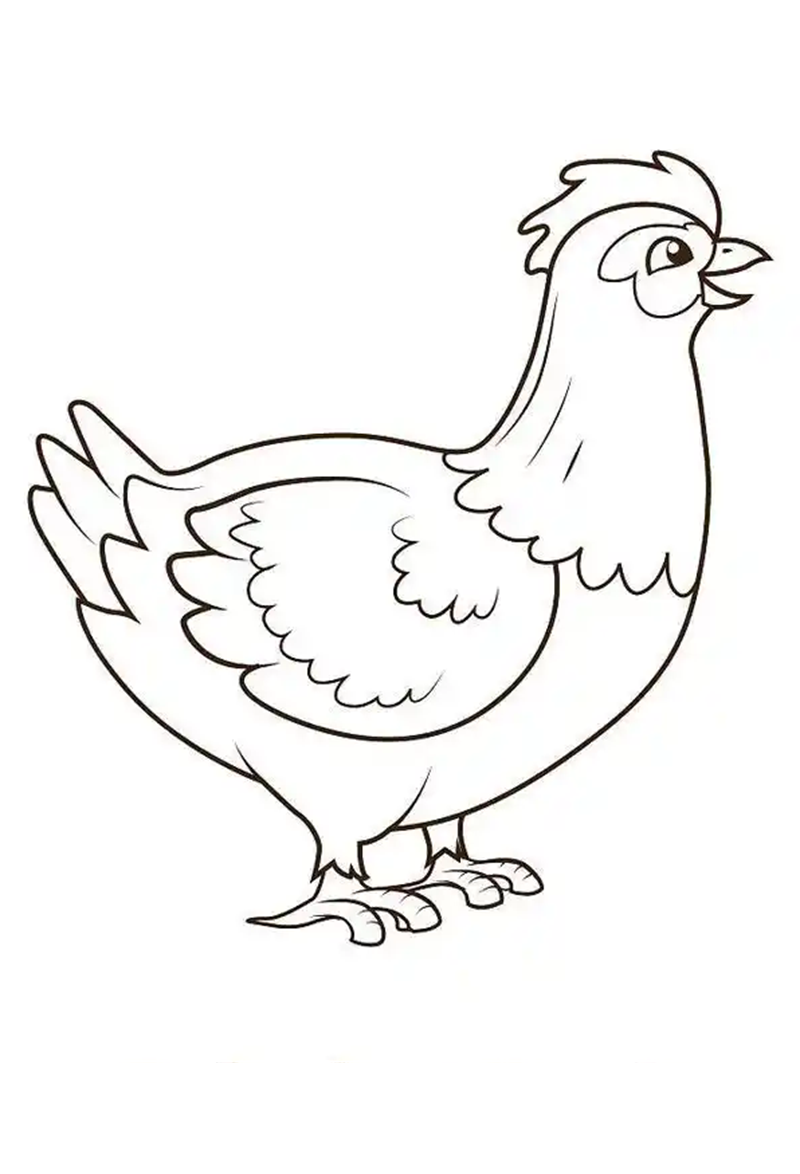 Gà mái mớm mồi cho gà con