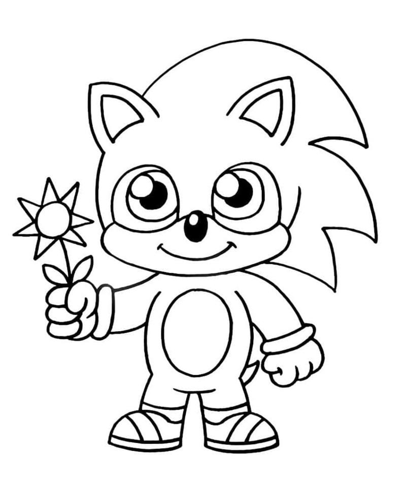 Sonic và Knuckles cùng phiêu lưu