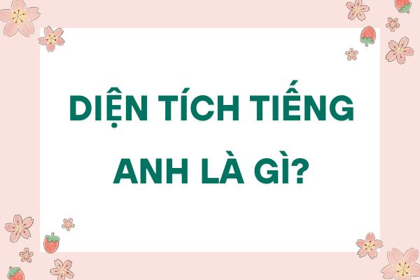 dien-tich-tieng-anh-la-gi